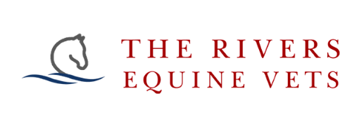 The Rivers Equine Vet